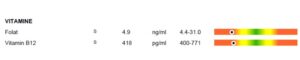 Die Auswertung einer ganzheitlichen Laboruntersuchung für Vitamin B12. Folat (4,9 ng/ml) und Vitamin B12 (418 pg/ml) haben niedrige Werte.